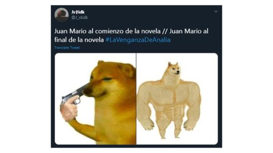 Memes de La Venganza de Analía.