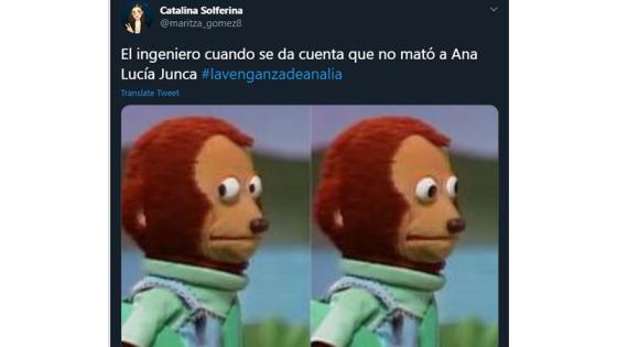 Memes de La Venganza de Analía.