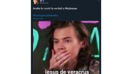 Memes de La Venganza de Analía.