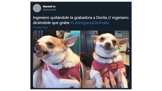 Memes de La Venganza de Analía.