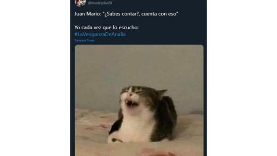 Memes de La Venganza de Analía.