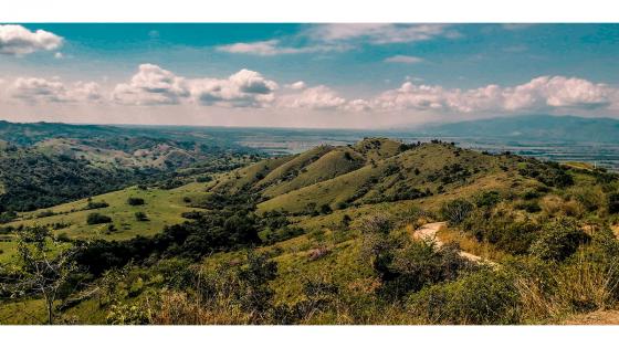 Buga, Valle del Cauca.