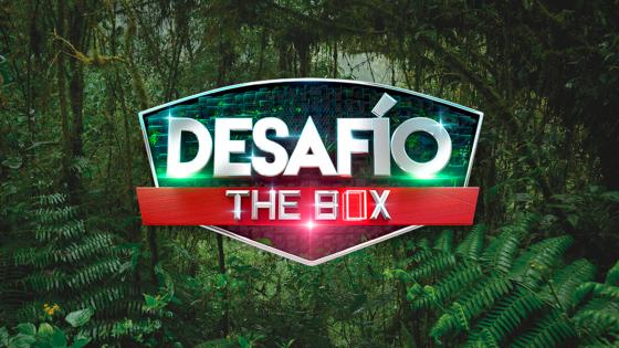 desafío the box