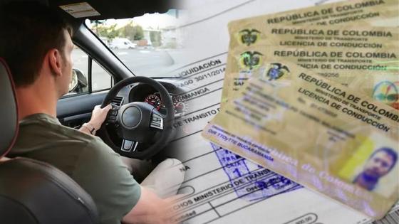 Licencia De Conducción Vencida, ¿cómo, Cuándo Y Dónde Renovarla? | KienyKe