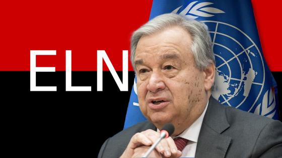 ONU apoya proceso de paz eln y gobierno