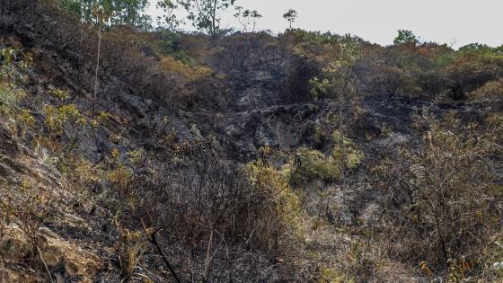 incendio cerro la bandera Cali 