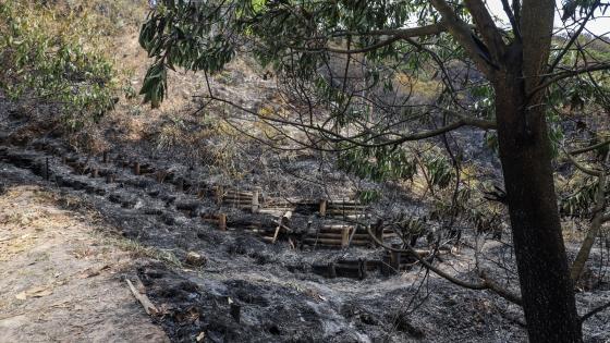 incendio cerro la bandera Cali 