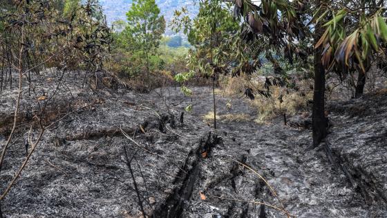 incendio cerro la bandera Cali 