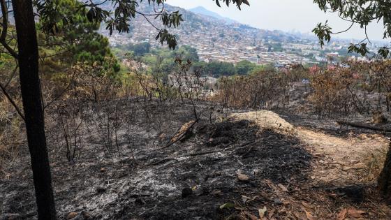 incendio cerro la bandera Cali 