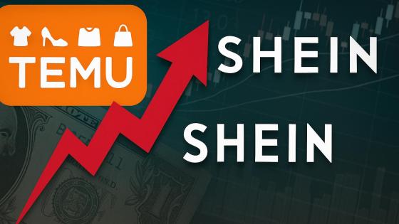 temu y shein