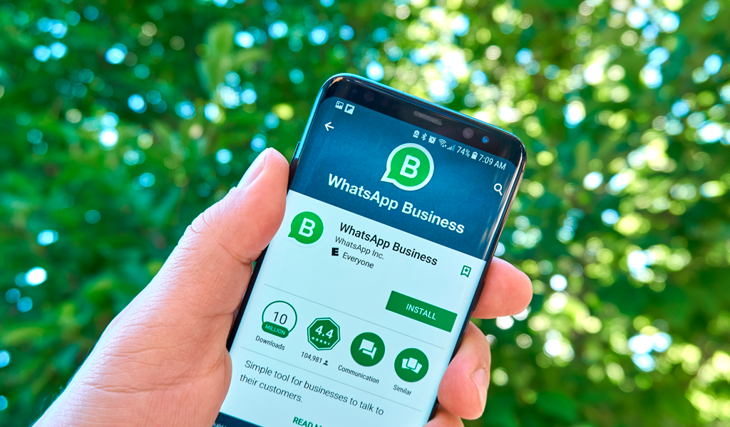 whatsapp business app download for mac