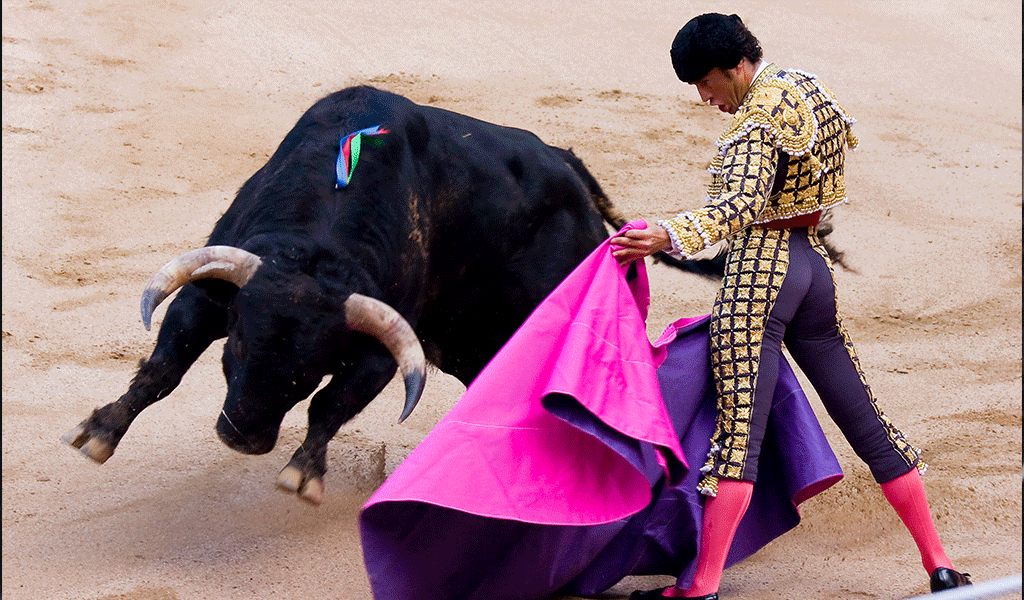 Debaten Prohibición De Corridas De Toros En Senado Kienyke 9167