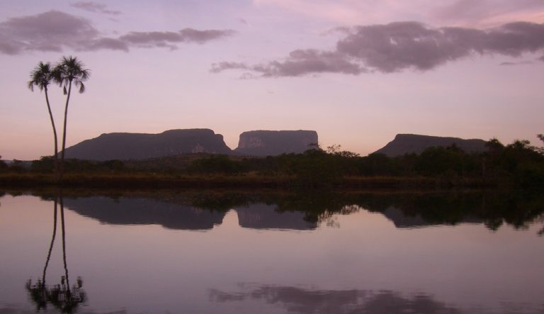 Conociendo Salto del   ngel Parque Canaima-kienyke