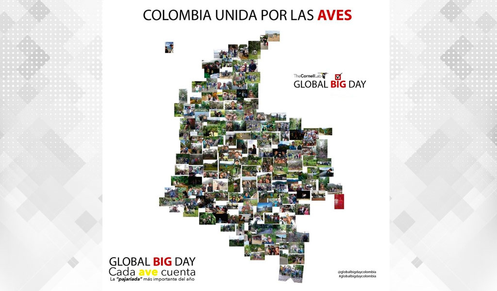 Colombia quiere ser campeón en la observación de aves 'Global Big Day'