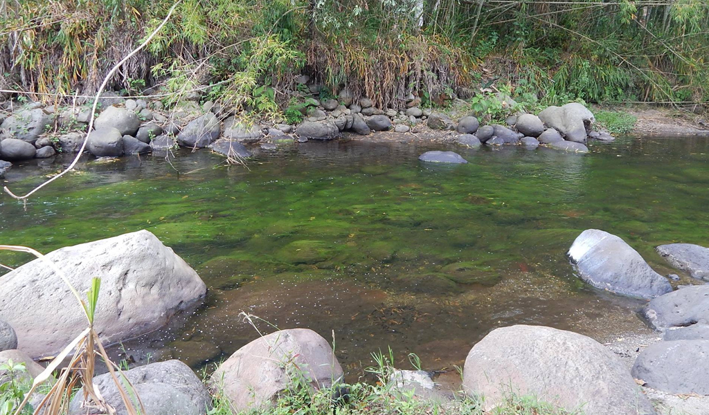 Resultado de imagen para El río Quindío, nuevo sujeto de derechos